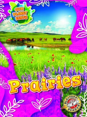 cover image of Prairies